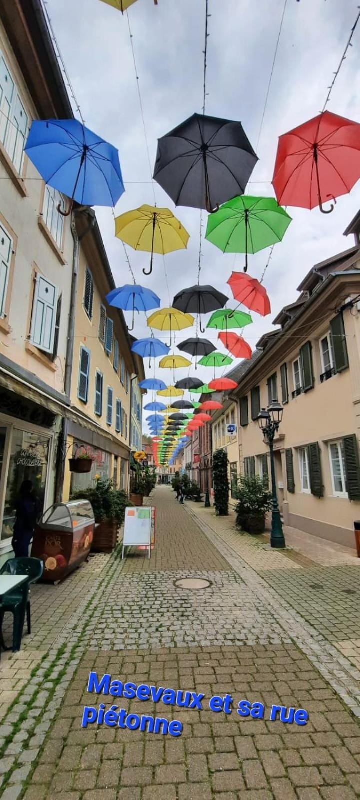 Gite Au Petit Verger Masevaux-Niederbruck Buitenkant foto