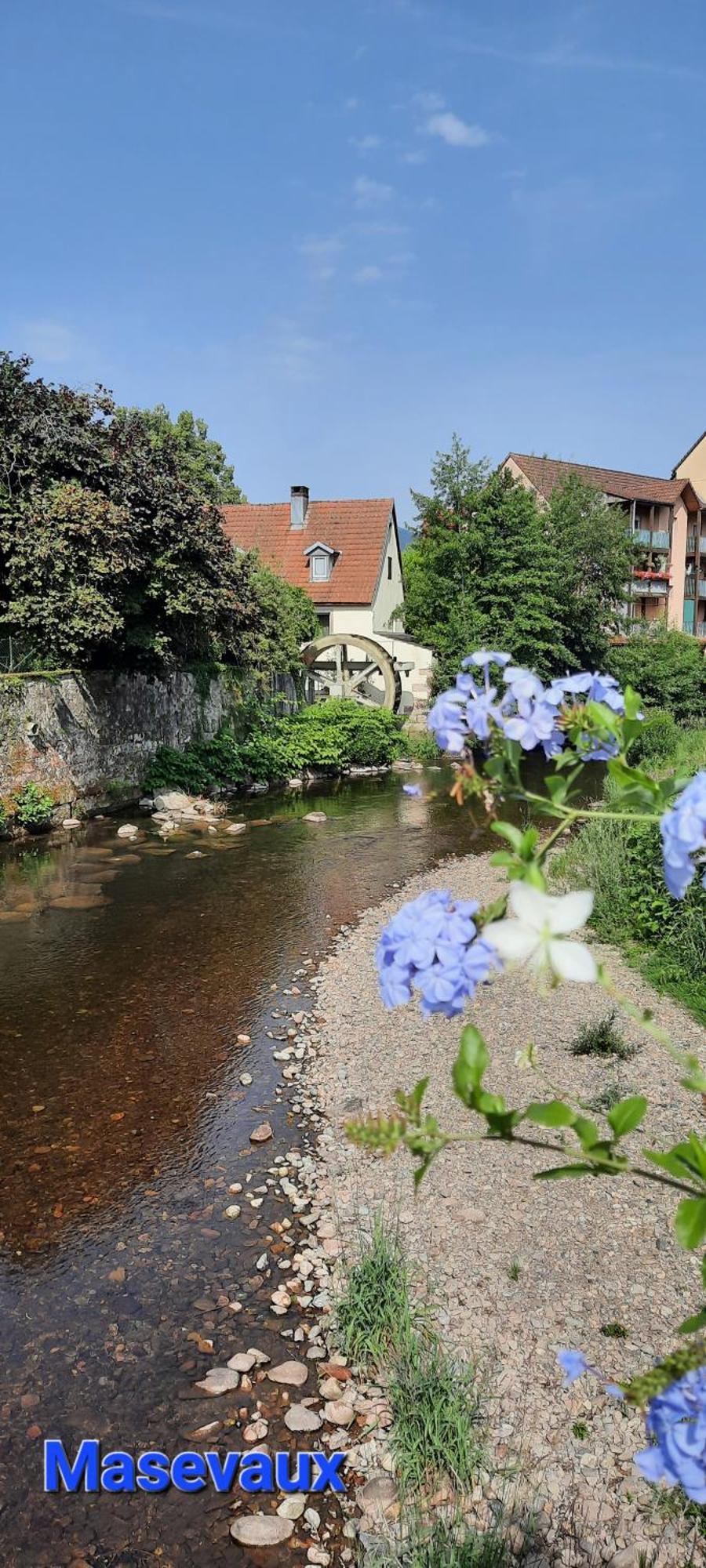 Gite Au Petit Verger Masevaux-Niederbruck Kamer foto